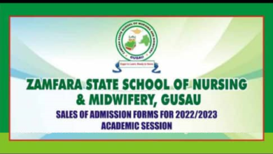 Zamfara State School of Nursing and Midwifery - Gusau